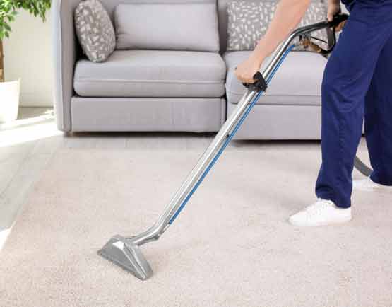 Best Carpet Cleaning Bulimba