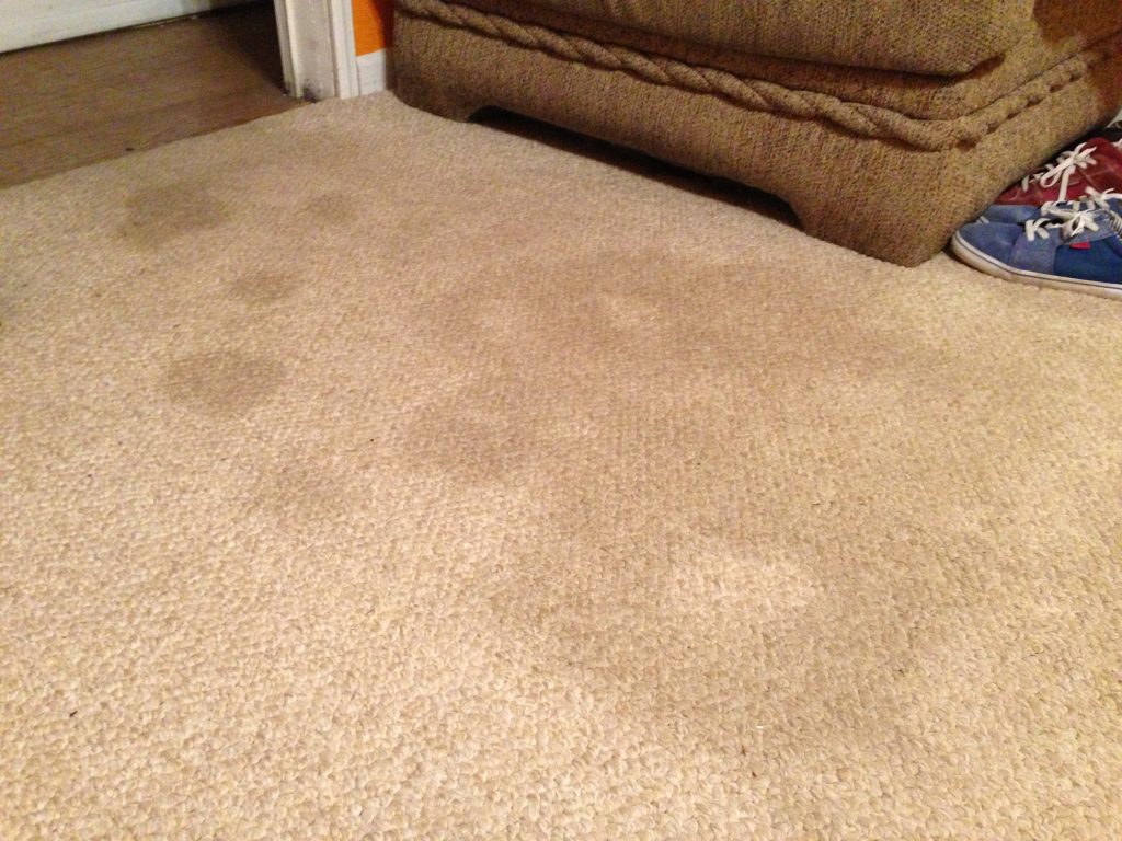 Deep Clean Carpet Stains